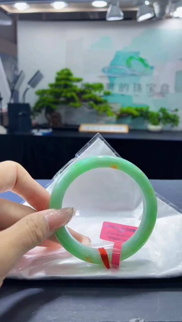 未镶嵌手镯翡翠9