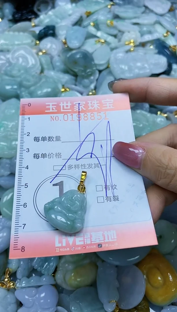 【闪购商品】翡翠颈饰未镶嵌闪购0198851多样性发其一