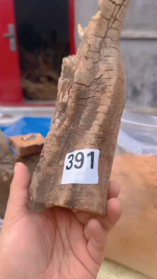 柏木（崖柏）太行陈化崖柏香片！随机一片！（1单1片）391