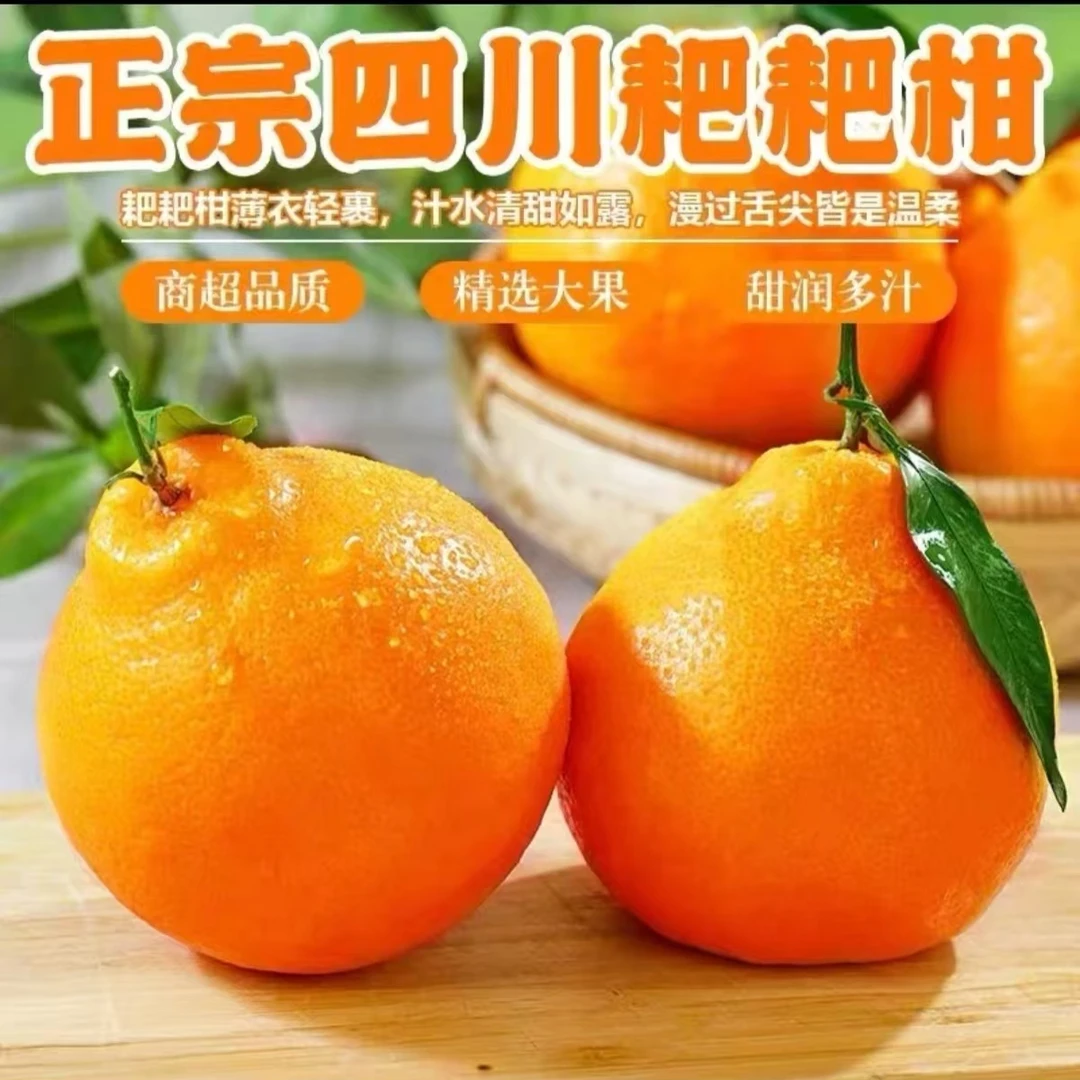 四川正宗春见耙耙柑丑柑橘子新鲜应季水果