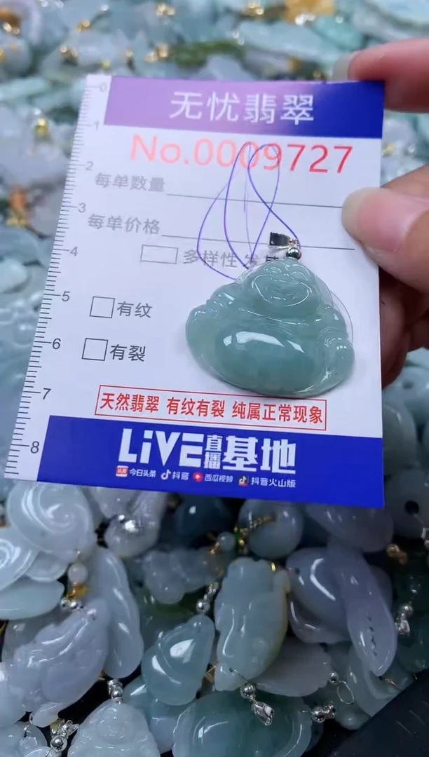 翡翠未镶嵌吊坠(不含链)9727