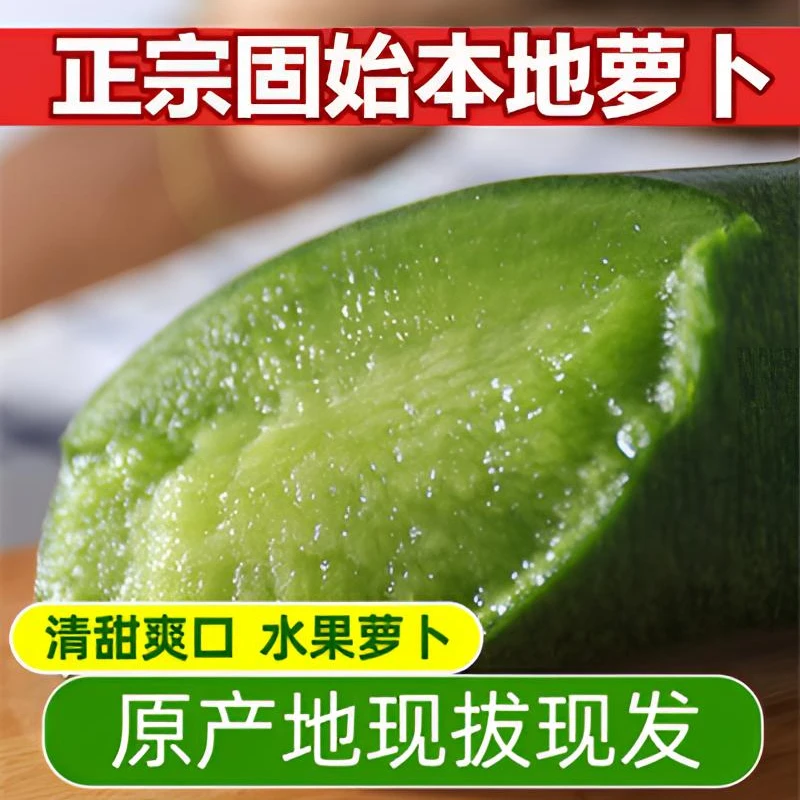 固始特产水果型萝卜河南青皮萝卜蒋集徐集农家沙地爽口小萝卜5斤