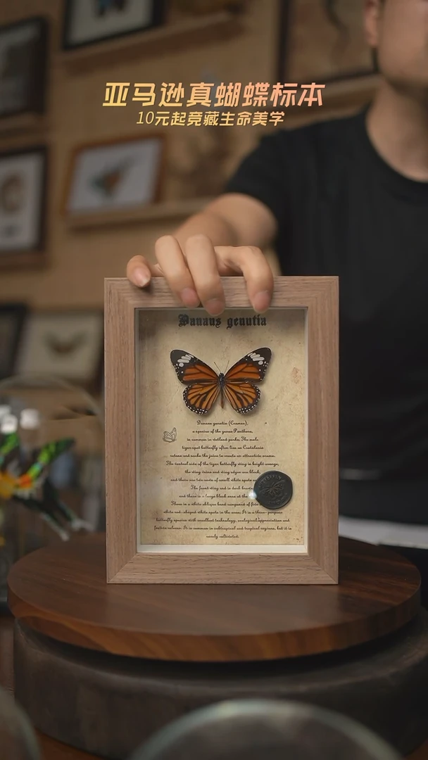 有机玻璃虎斑复古版七寸竖框