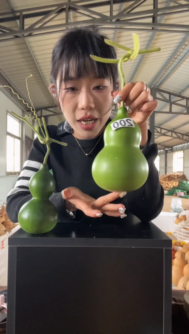 ?****别200天然葫芦摆件 一物一拍龙头不保售后