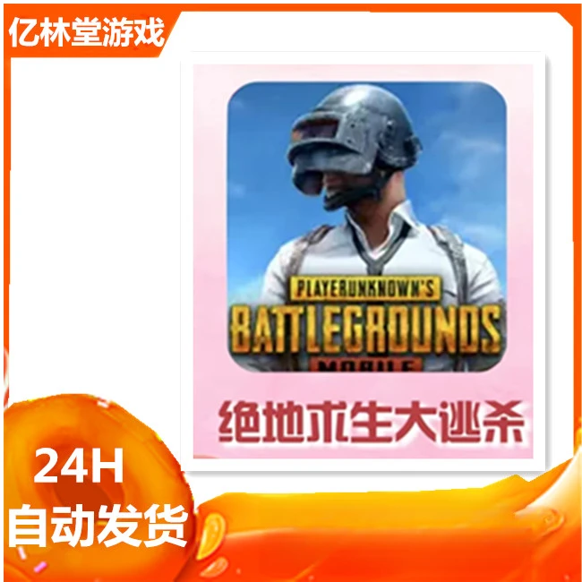 pubg 国际服 刺激战场  手游 游戏安装服务