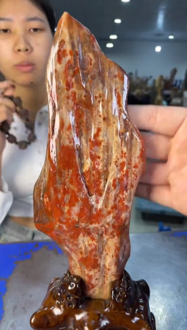 未镶嵌摆件硅化玉48