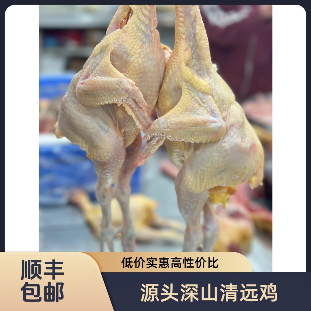 清远源头深山放养清远鸡【2只装】拍一发二！3斤以上顺丰冷链直发