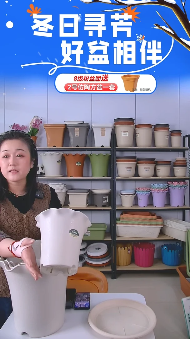 荷叶边5002米白色5套带托盘