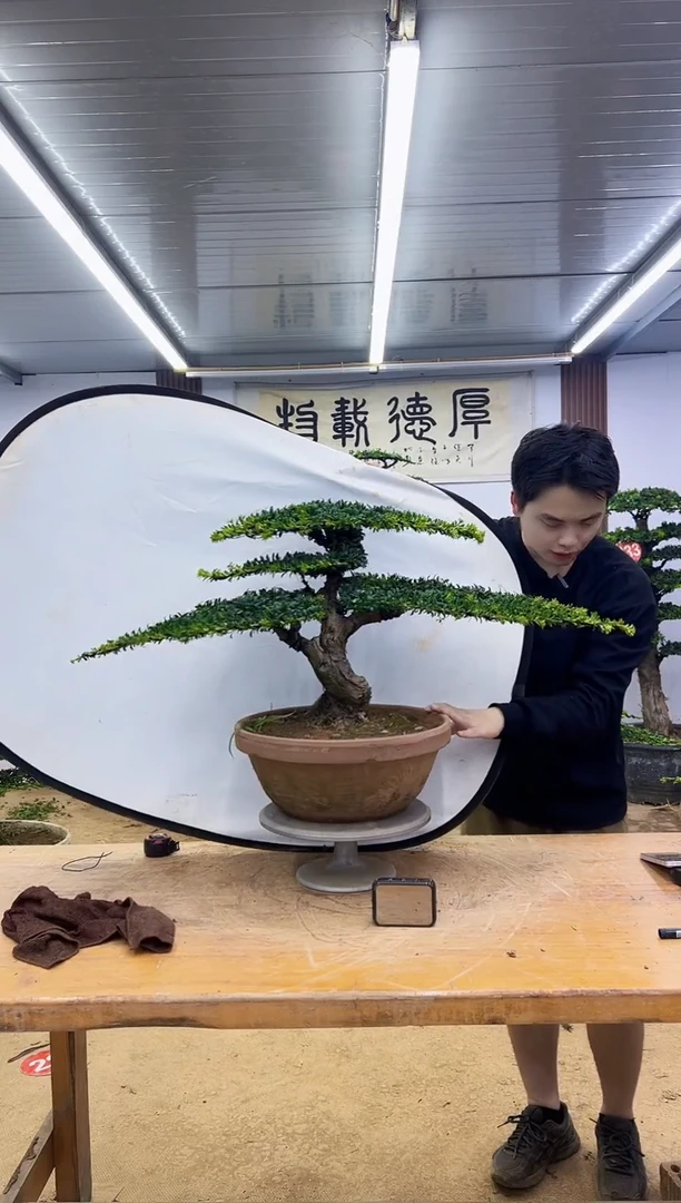 无花朵0000000000000000