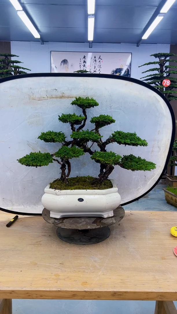 以实际为准0000000