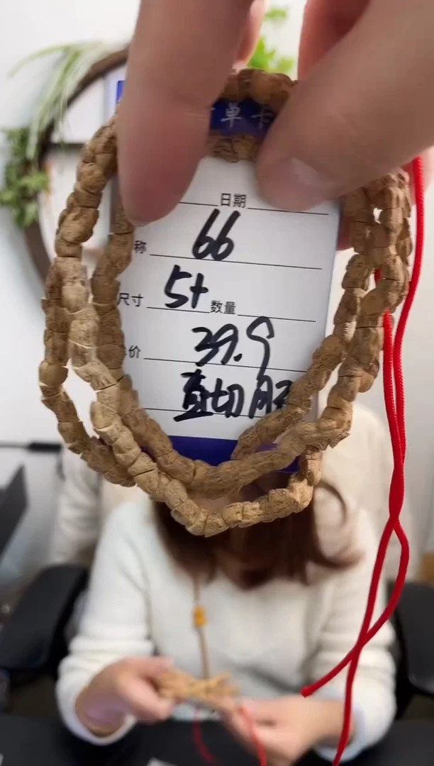 手串柏香籽/百香籽66直切肠