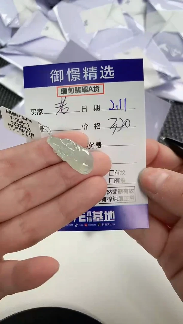 【闪购商品】翡翠颈饰未镶嵌117