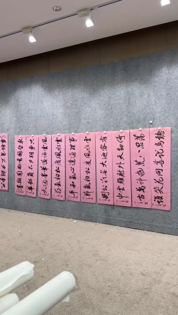 【闪购商品】书法pmw不二轩旗舰店书法ZDQ28