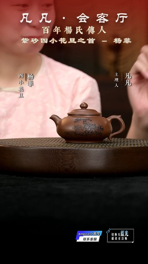 茶壶紫砂JPX16杨菲笠翁紫泥160cc