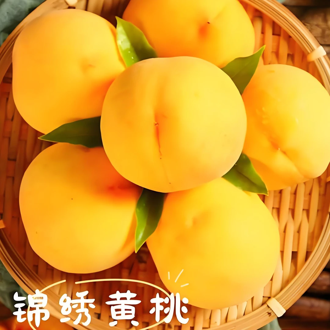 湖北锦绣黄桃新鲜采摘自然生长香甜多汁