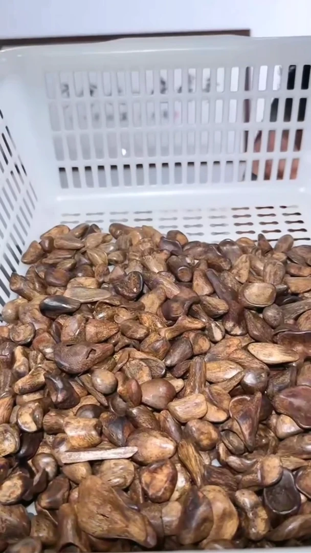 沉香吊坠158号沉水舍利子一粒多样性发一