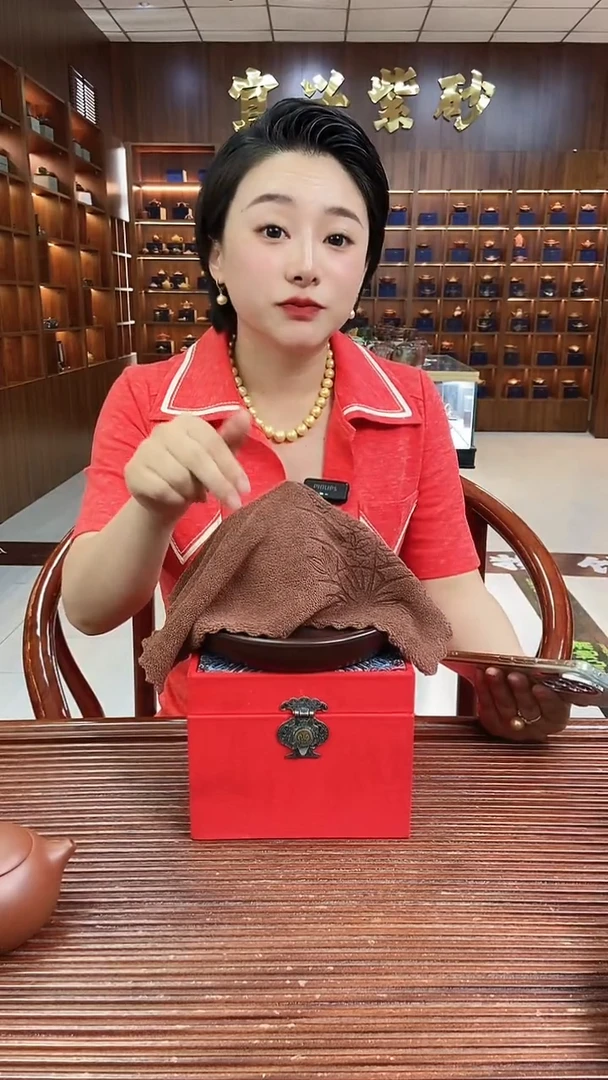 茶壶紫砂山水龙蛋龙血砂张续红