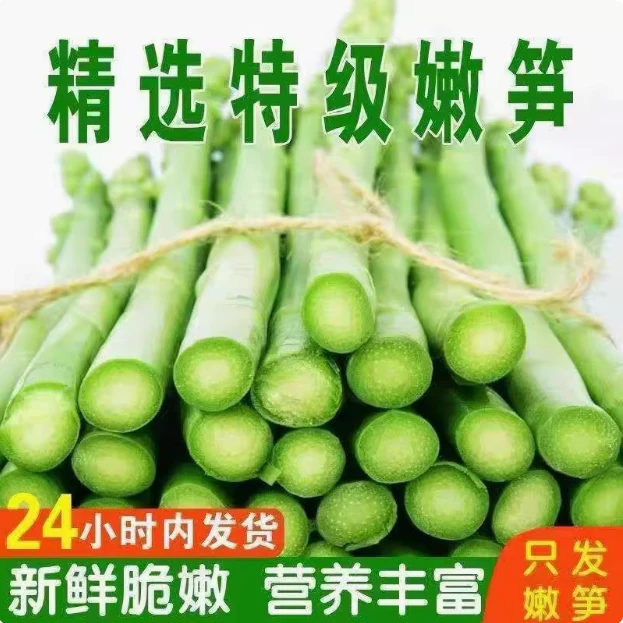 新鲜芦笋特产绿芦笋农家青笋新鲜蔬菜包邮春笋竹笋精选包邮