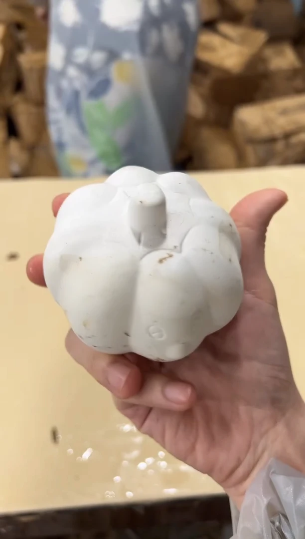 无款式闪购链接闪购链接