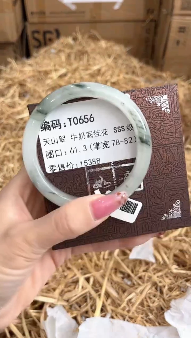 未镶嵌手镯石英质玉T0656