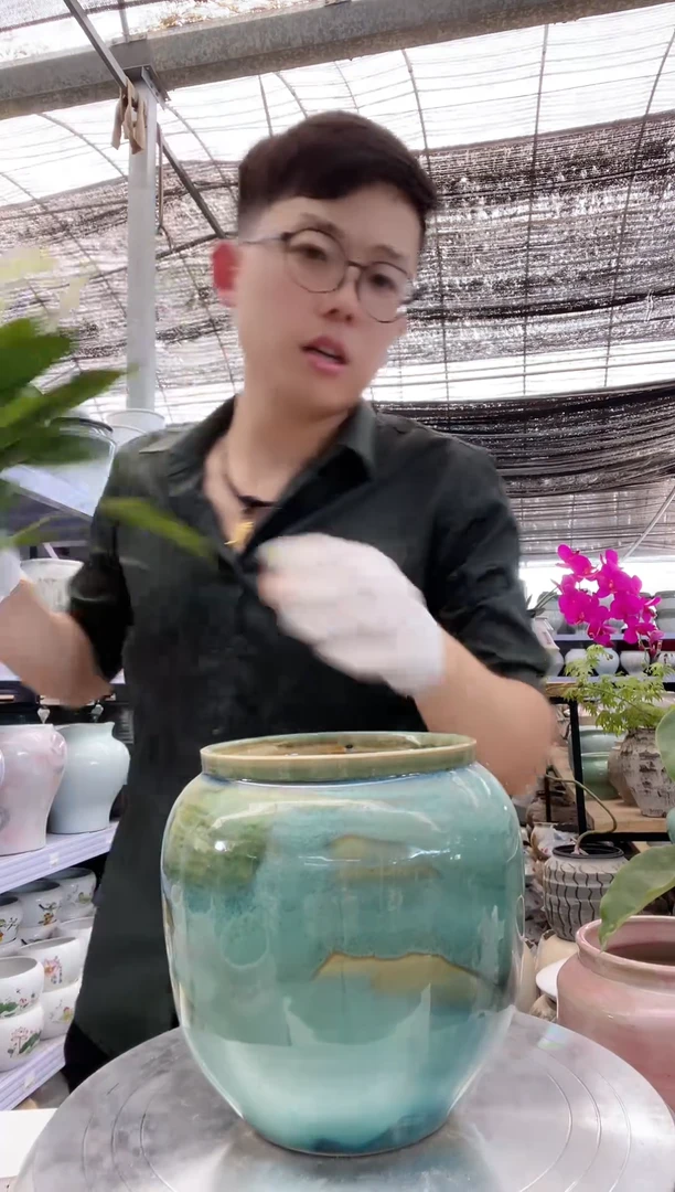 陶瓷花盆1234直播链接