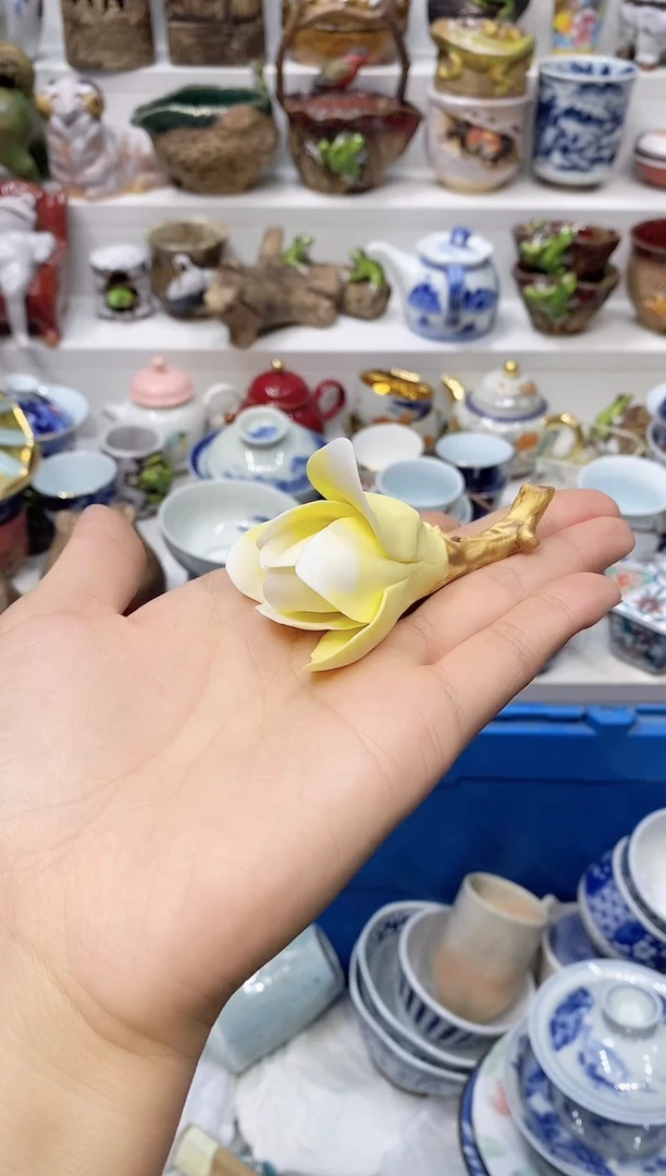 瓷片向****️20包邮 新疆西藏200包邮