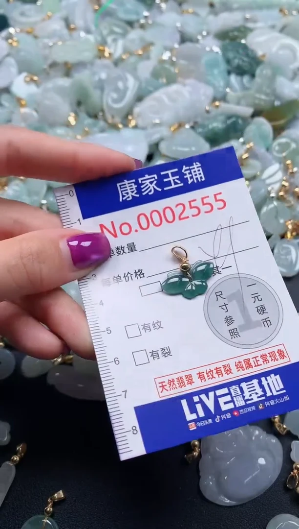 颈饰未镶嵌翡翠2555