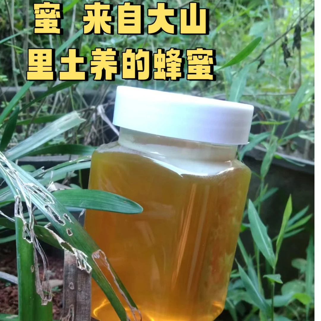 罗霄宏昌蜂蜜纯天然土蜂蜜大山里土养的农家自产百花蜜