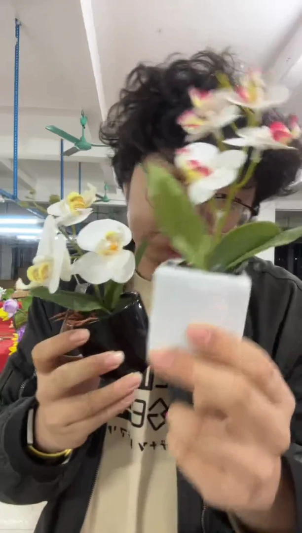 【闪购商品】仿真花朵蝴蝶兰盆栽2盆