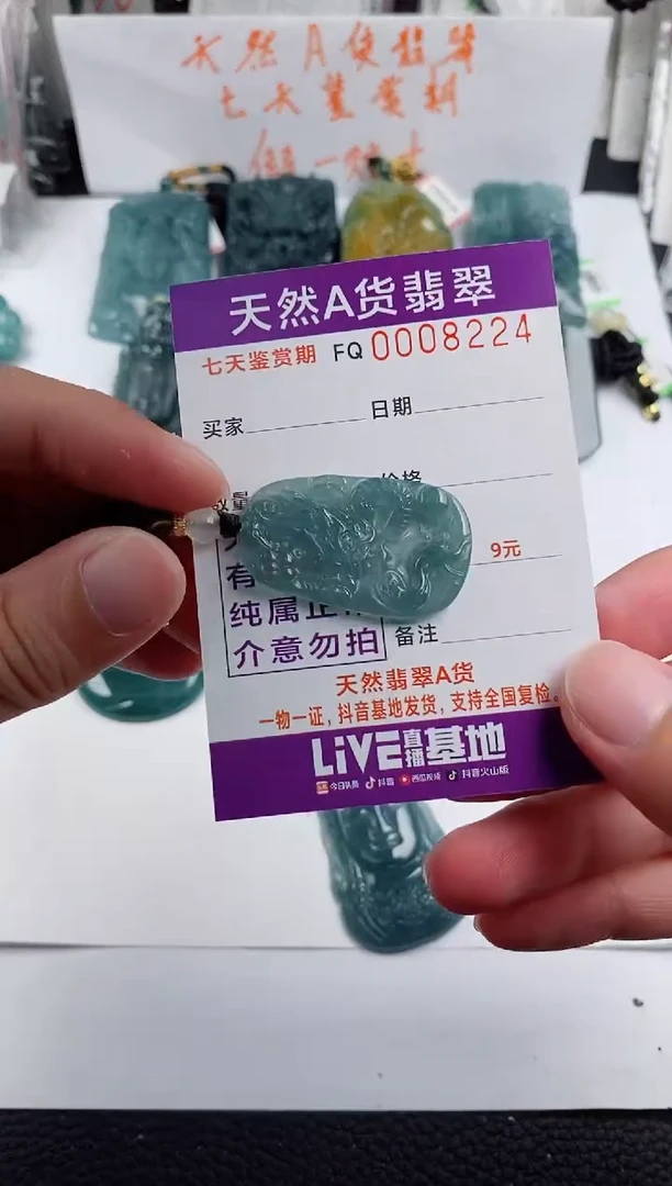 颈饰未镶嵌翡翠 小圆龙牌9.9
