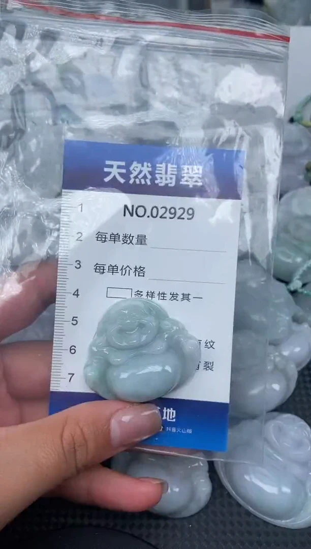 颈饰未镶嵌翡翠纯天然A货翡翠2929