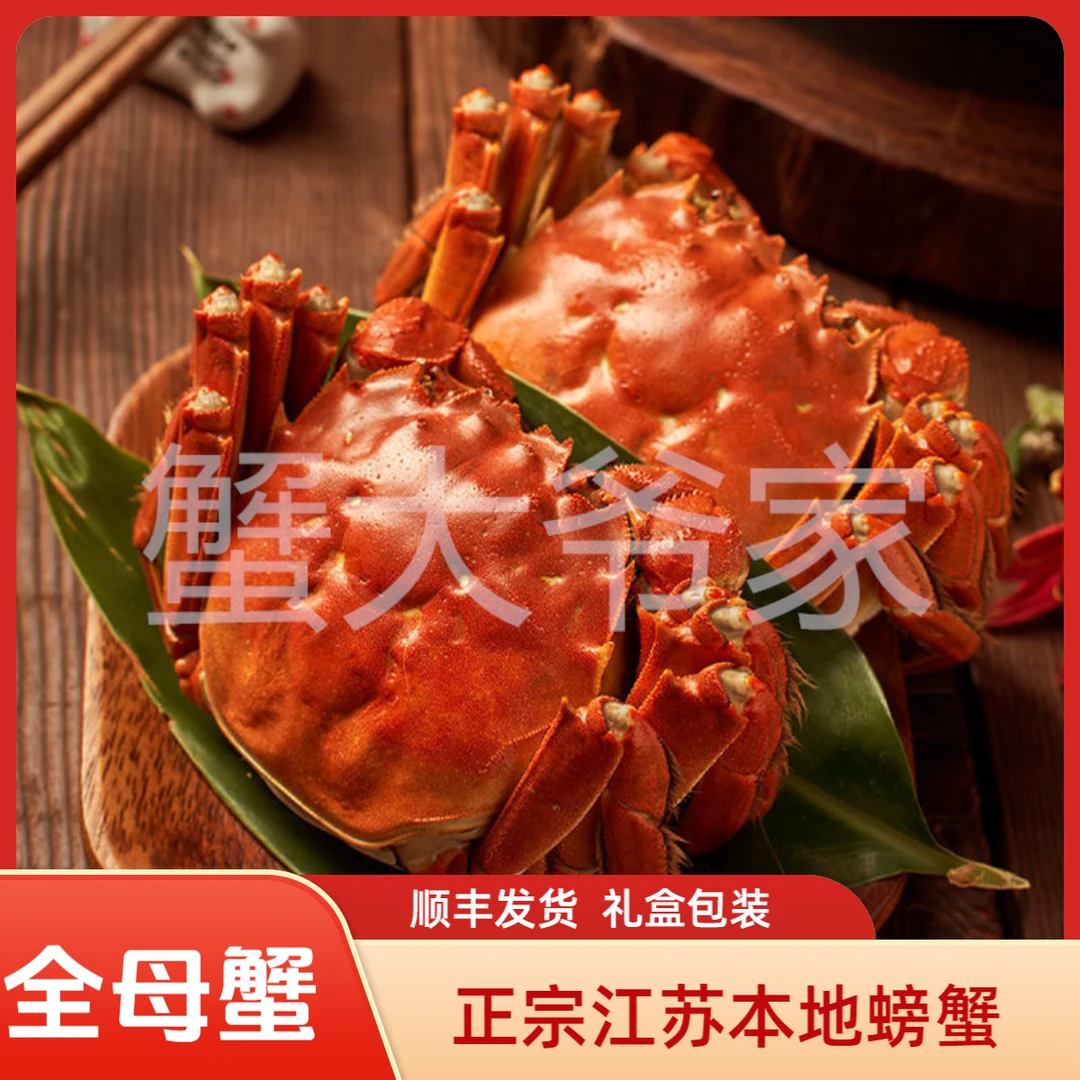 【3.2-2.9两/只 全母活蟹】江苏大闸蟹10只起顺丰保鲜礼盒装湖蟹