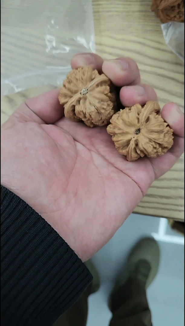 把件核桃大粗筋以打底八筋聚鼎