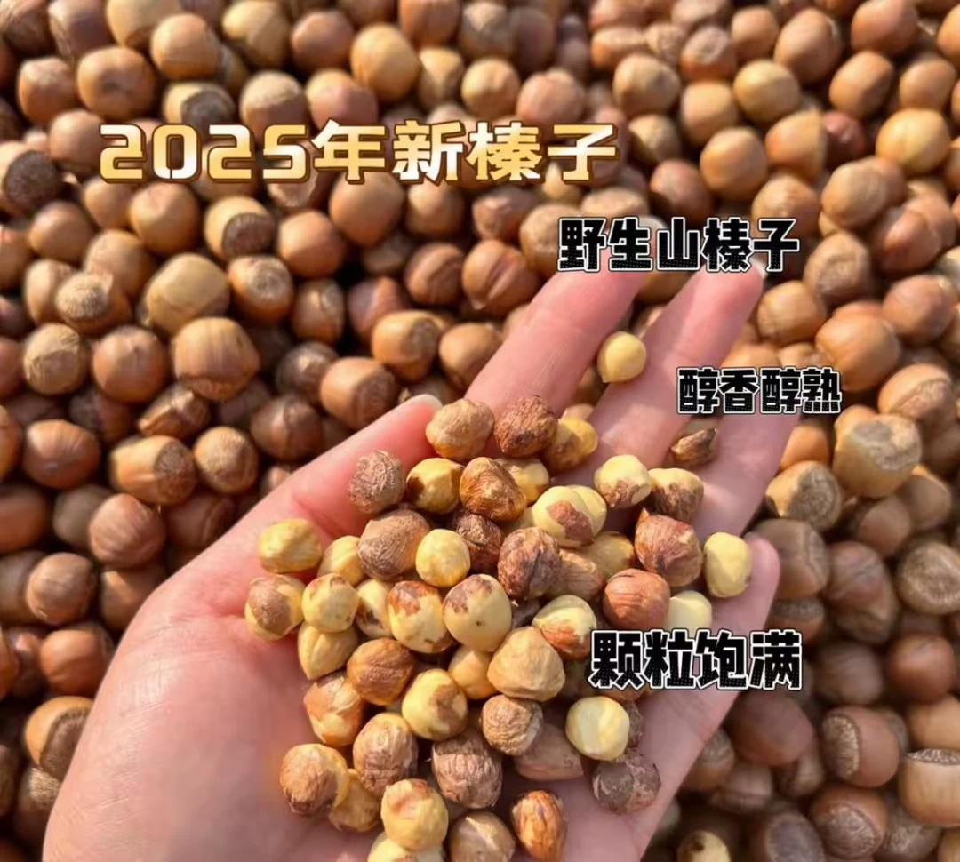 东北特产山榛子（熟）水漏手拍嘎嘎香13mm-15mm中粒