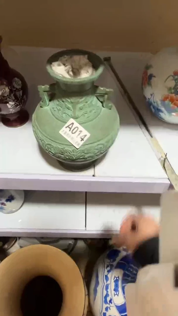 【闪购商品】茶盏8888888888   014