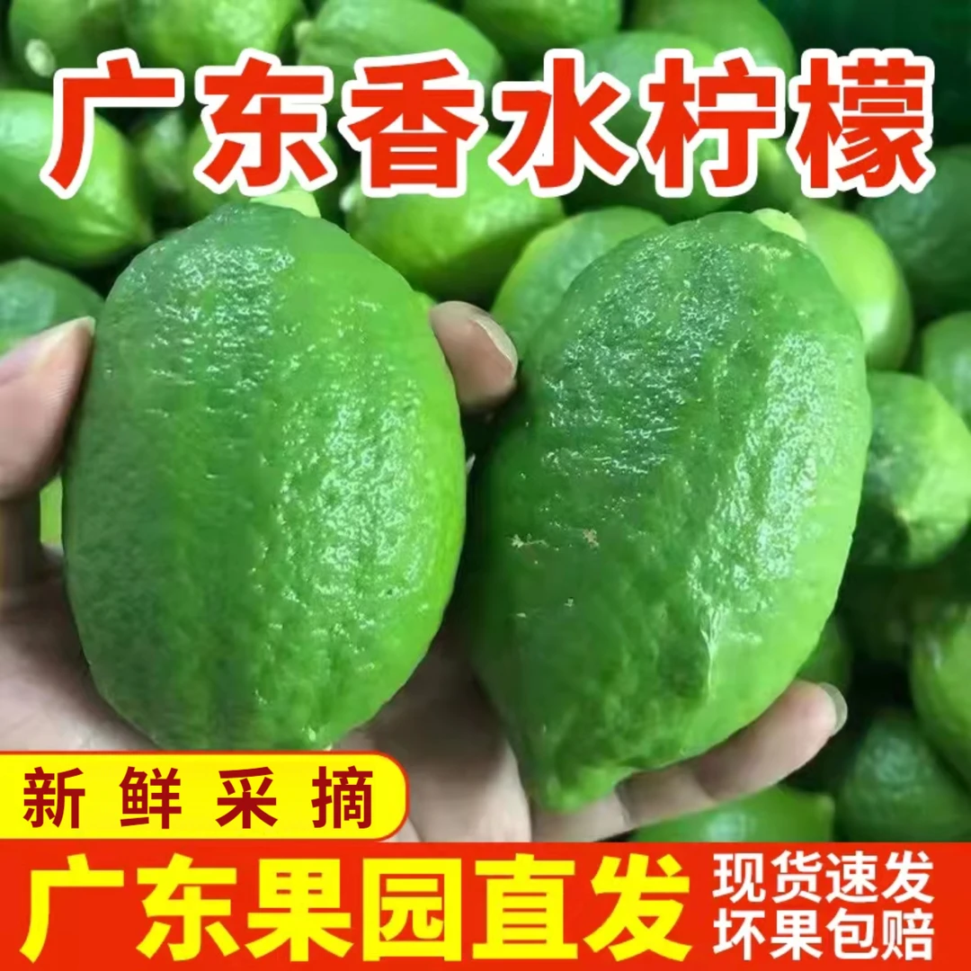 双11正宗无籽广东香水柠檬新鲜水果奶茶饮品专用果园直发大小备注