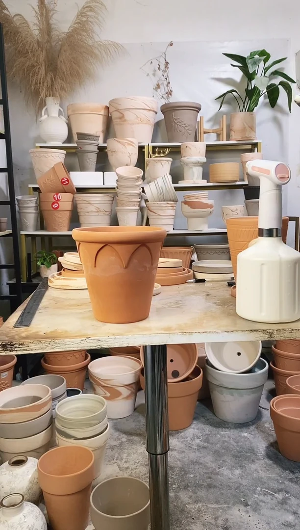 瑕疵无售后18*17红陶皇冠 1盆无托