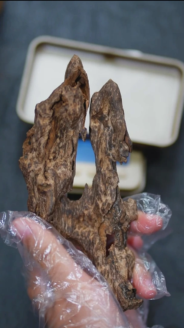 沉香沉香碎屑香港棋楠根香料34.84克