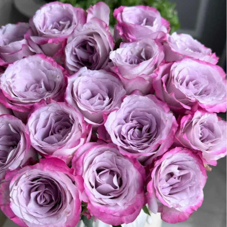 花鲜祉【气场/10枝】全场任意两单顺丰包邮今日下单明日送达云南切花玫瑰花