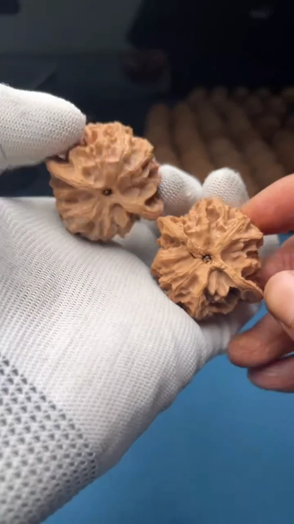 桃核把件a40  苹果园 41尺