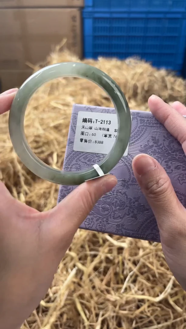 未镶嵌手镯石英质玉T-2113