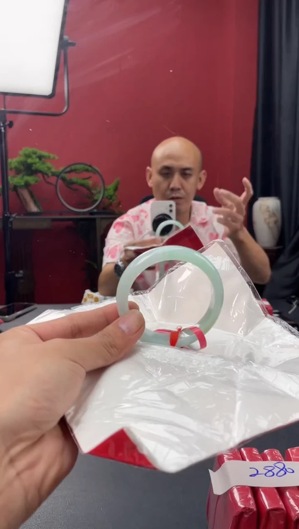 未镶嵌手镯翡翠2