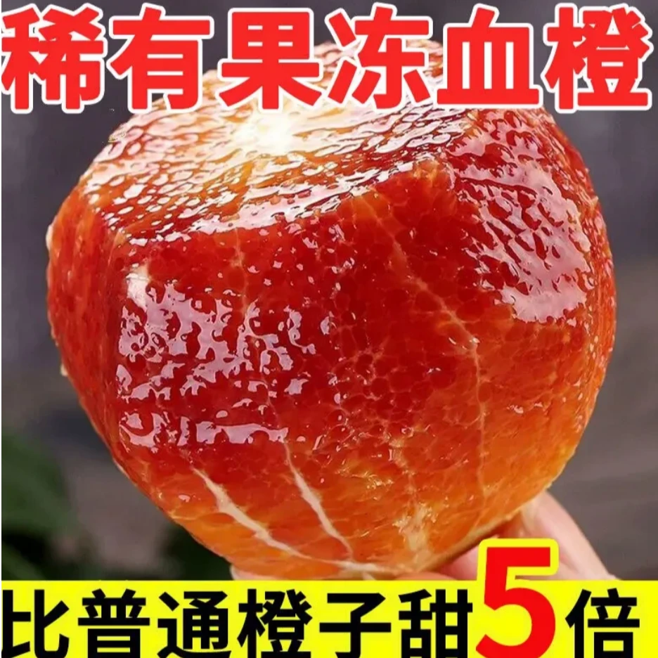 【玫瑰香橙】峡口镇新鲜果冻橙子产地直发多汁皮薄新鲜