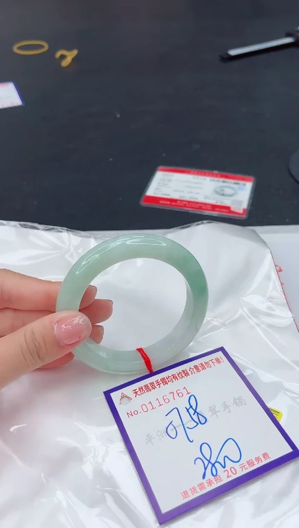 未镶嵌手镯翡翠1