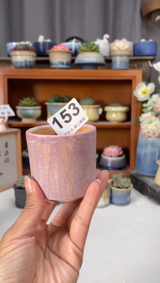 瓷片153知木小芳花盆
