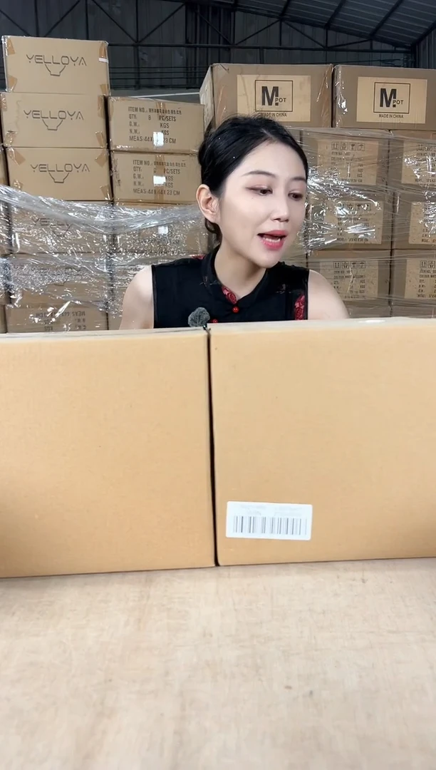 纸箱里面花盆两个