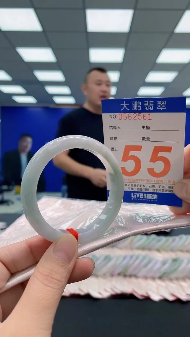 未镶嵌手镯翡翠AAAAAAAAA