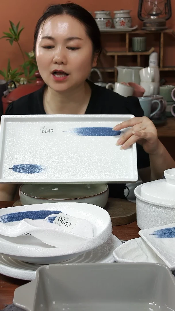 碗D649陶瓷小长盘一件套微瑕
