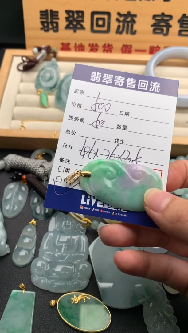 翡翠18K金镶嵌颈饰10139595