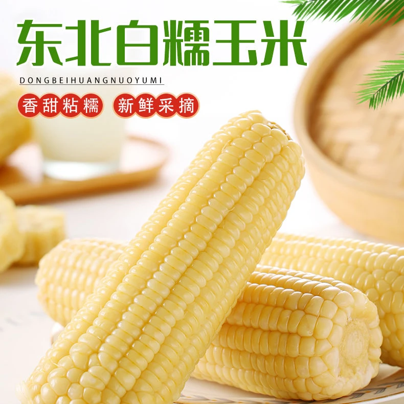 ~【试吃3根】白糯玉米 整箱10根 东北黑土地种植 软糯香甜